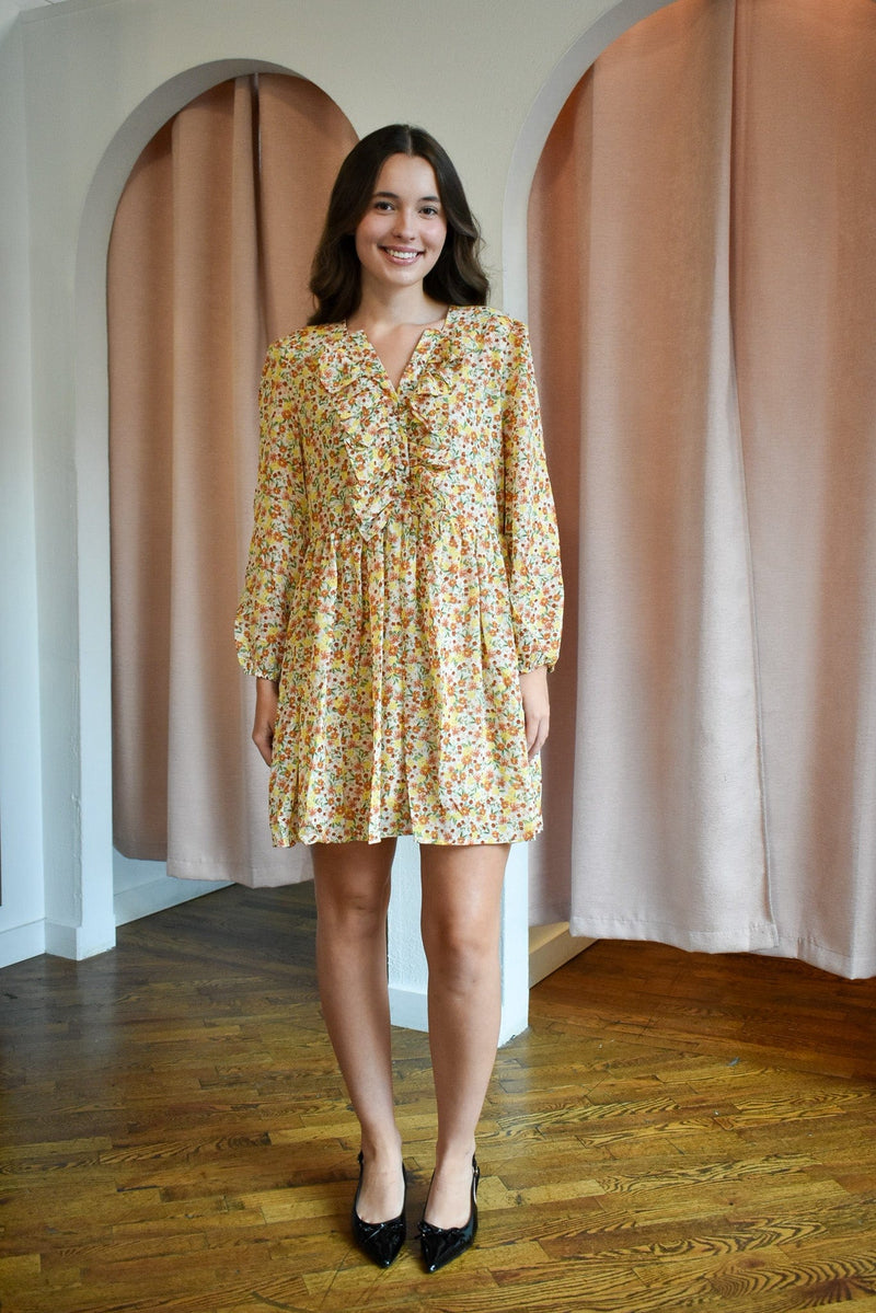 beth mini dress Lovers and Friends Beth Mini Dress in Black & White