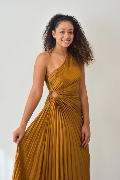 Golden Hour Pleated Dress