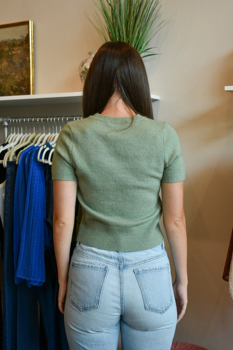 Short Sleeve Sweater Top- 2 Colors